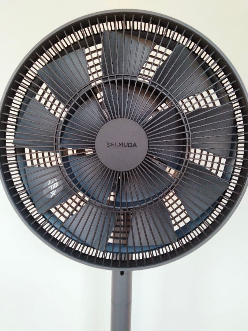 バルミューダ グリーンファンEGF-1600-DK
