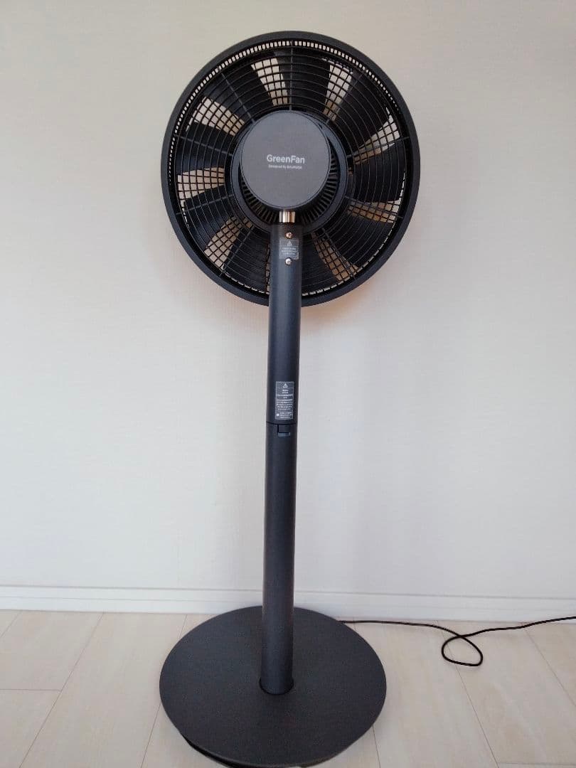 バルミューダ グリーンファンEGF-1600-DK