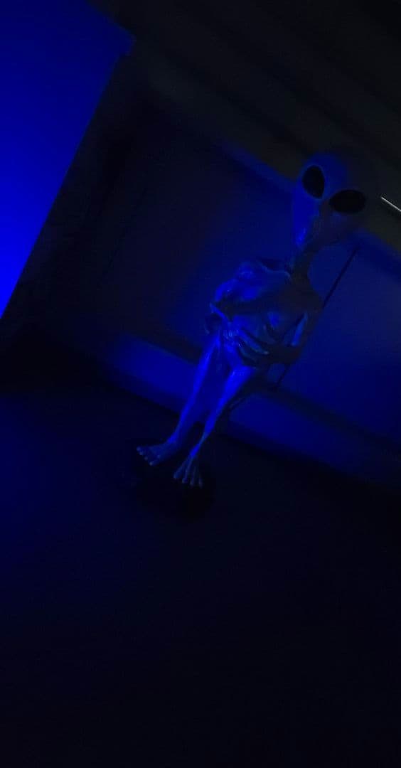 その他 Grey type Alien figure modeled object