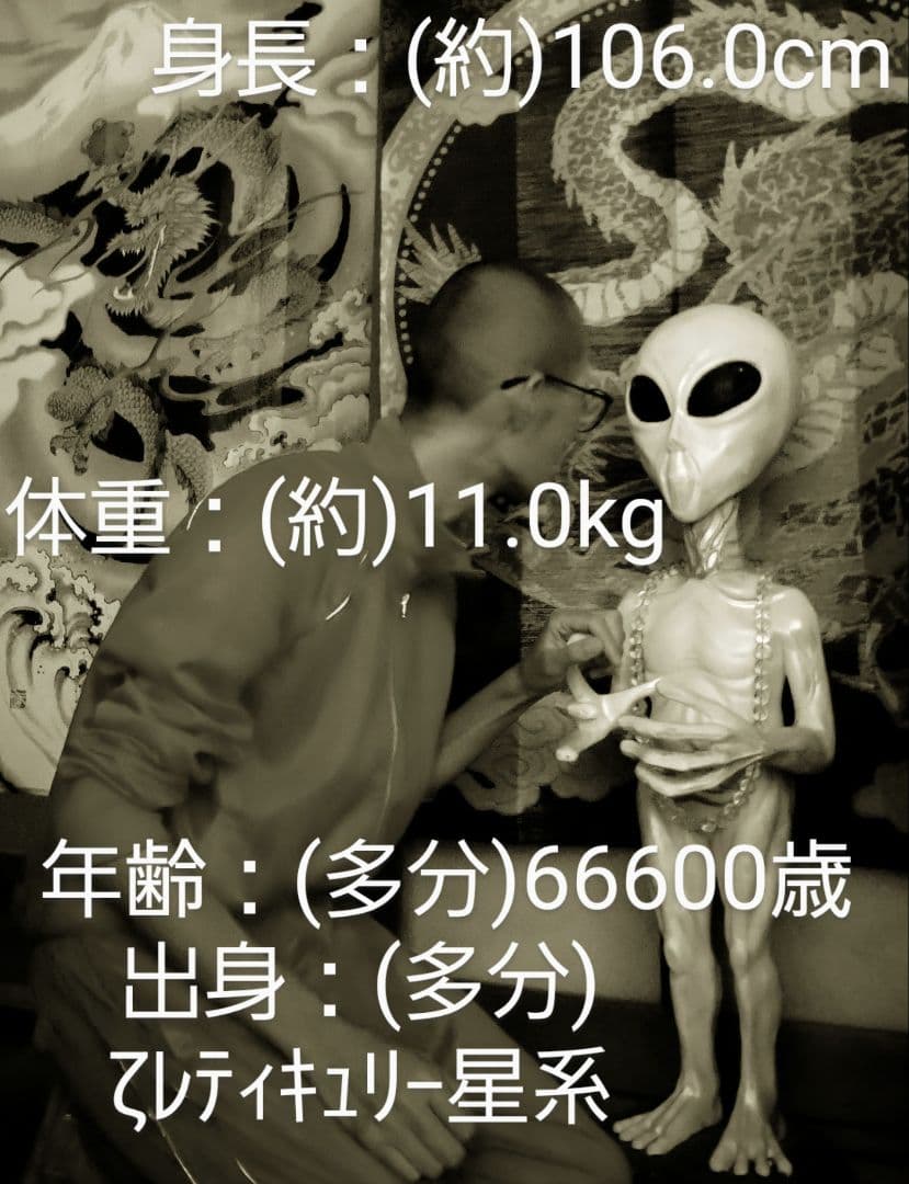 その他 Grey type Alien figure modeled object