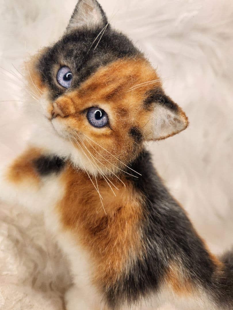 ひ*す様 海外作家 猫 三毛猫 ぬいぐるみ アートドール リアル 羊毛フェルト