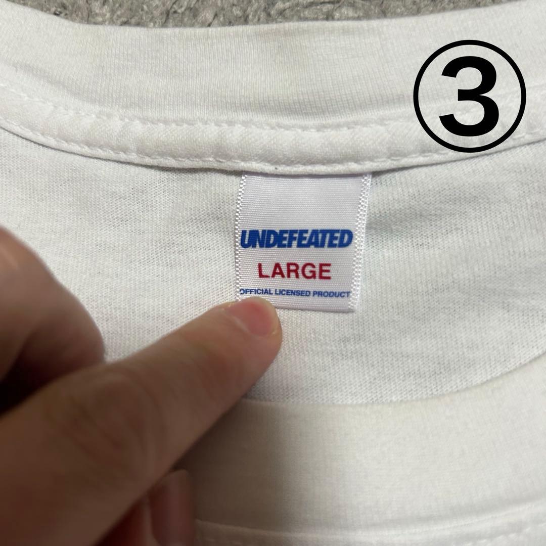 UNDEFEATED Tシャツ ロングTシャツまとめ売り