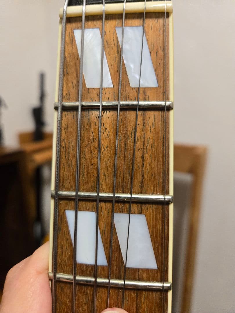 【中古】Eastman AR-175CE Antique Red