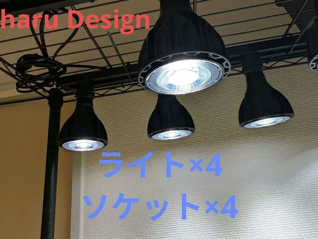 HaruDesign 植物育成ライト GL-A 6K アガベ　チタノタ　LED