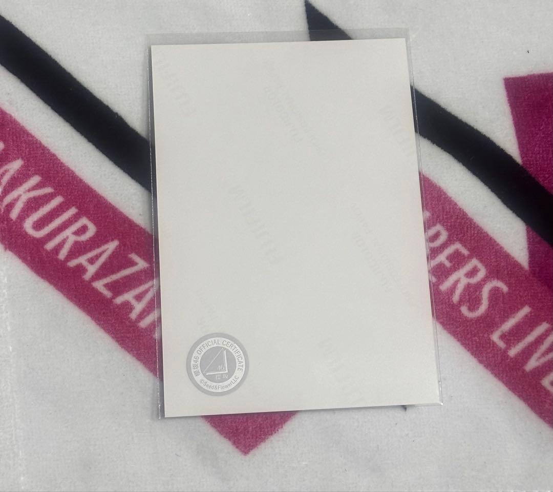 櫻坂46 生写真　山﨑天　2024サンタチュウ　直筆サイン入り　コメント付き