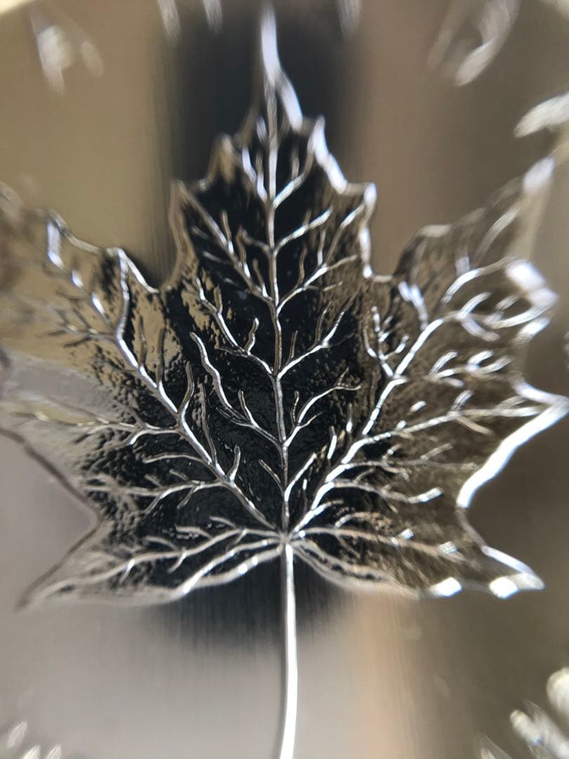 2011年　カナダ メープルリーフ 1オンス銀貨 5ドル