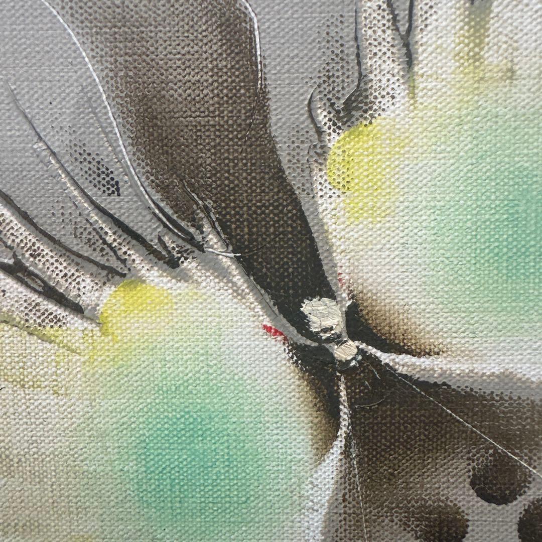 真作 小練武志 50号油彩「虹に舞う蝶」独自の幻想的な色彩描写