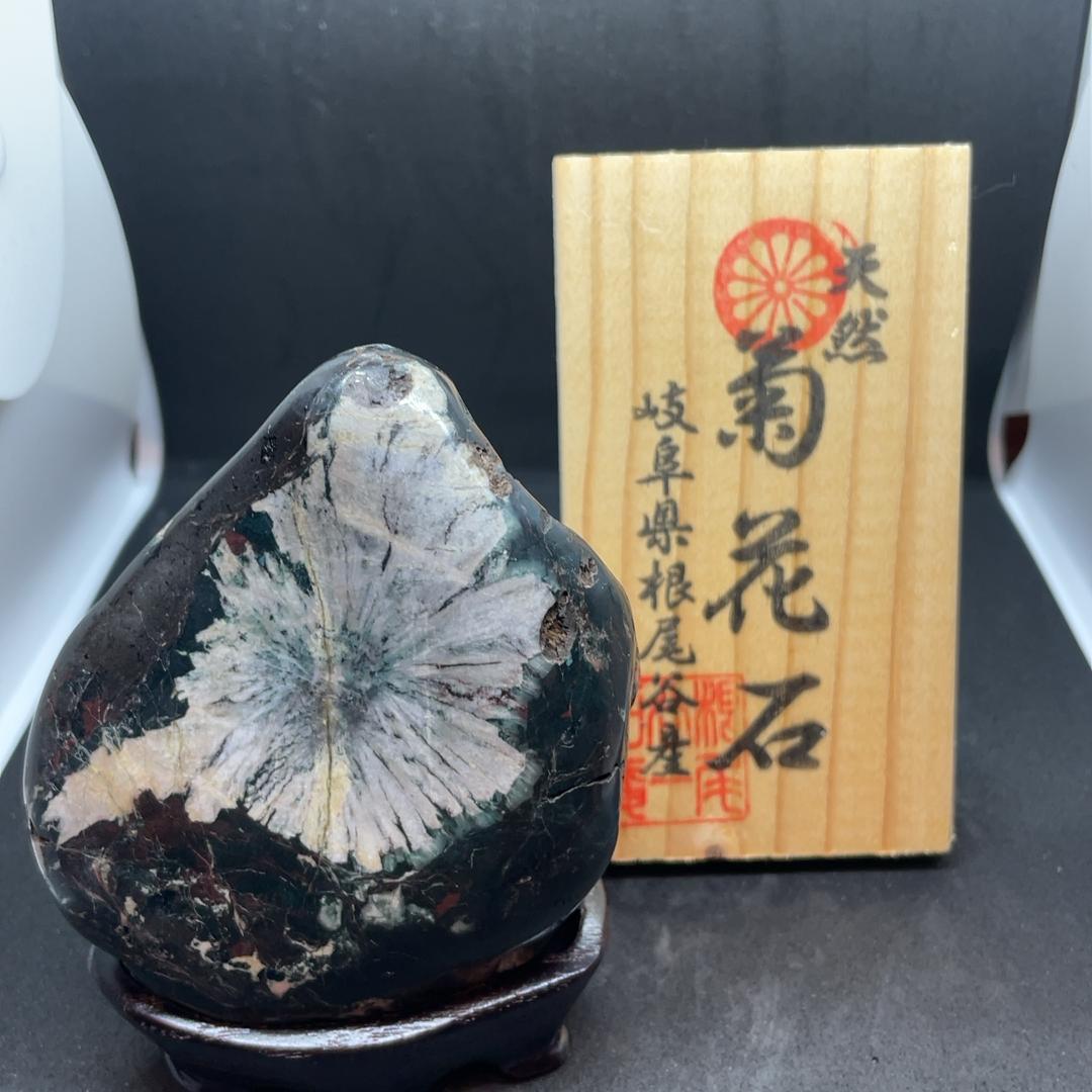 根尾谷産菊花石　立札、台座つき