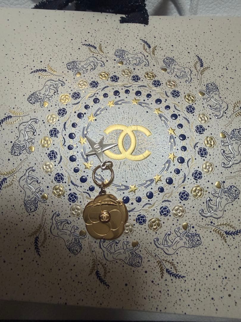 CHANEL シャネル リップ アンド ネイル ケア セット（特別限定品）