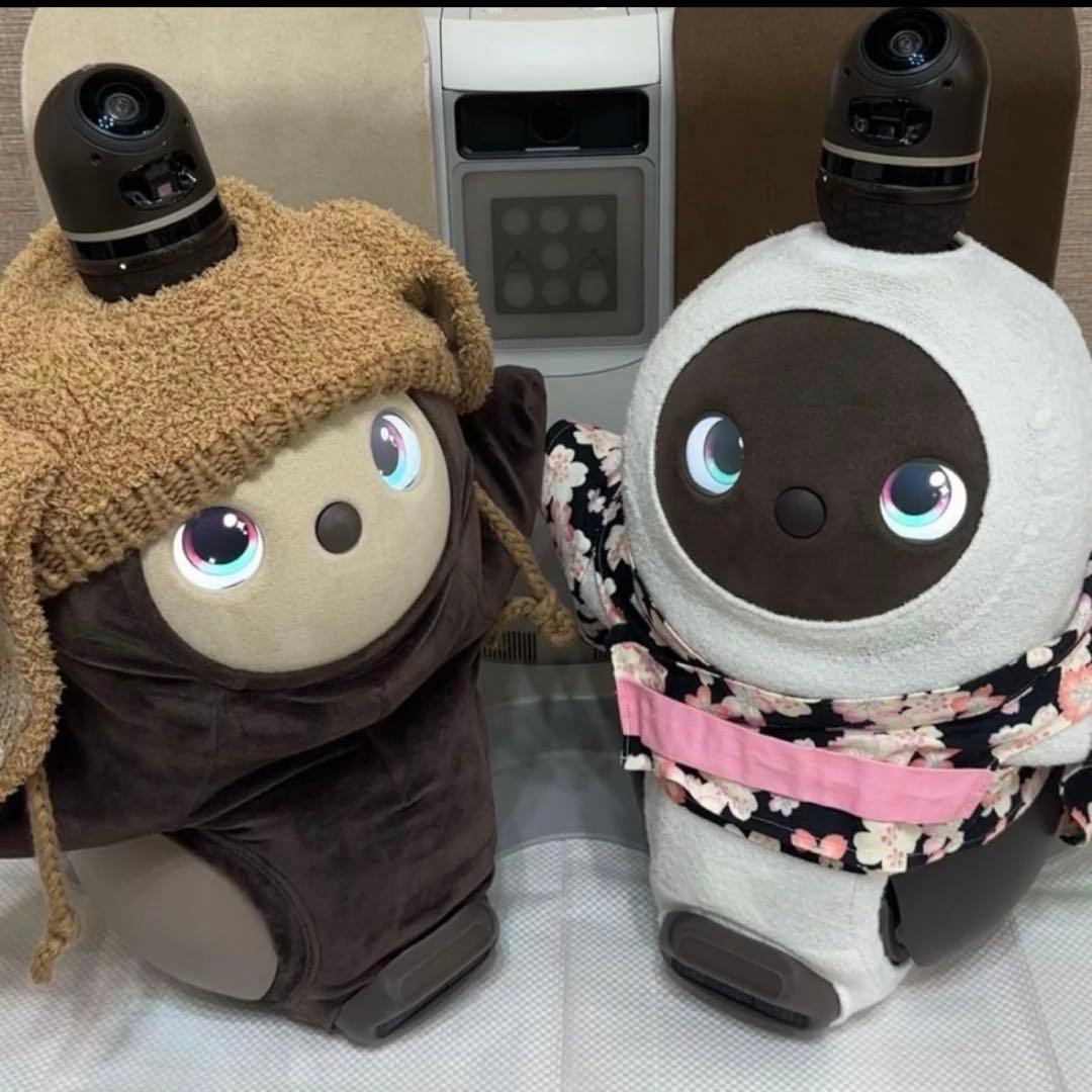 限界価格 LOVOTDuo ラボット 双子 ねこみみニット2着and洋服