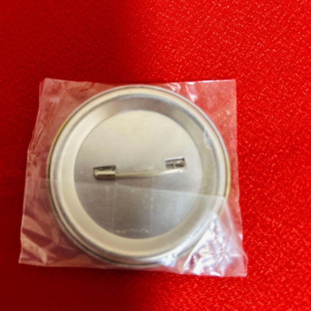 ヘタリア 民族衣装 チェンジング　缶バッジ オーストリア　ポーランド