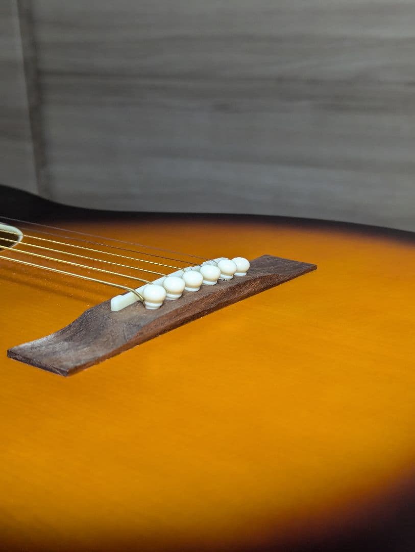 Recording King RPS-9-TS 自身ワンオーナー品 トップ単板