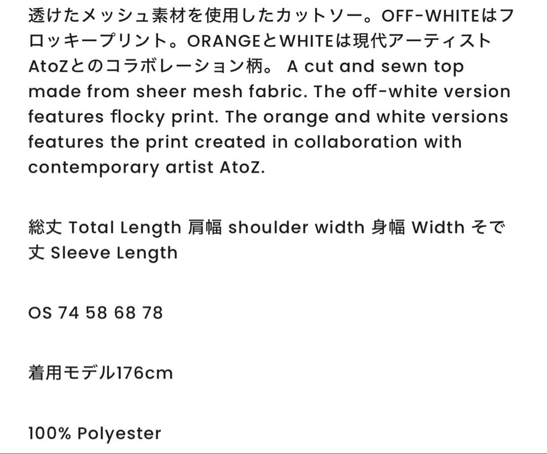 トップス BODYSONG. LSTEE/MESH/FLOCKING/ATOZ WHITE