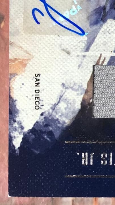 MLBカード　fernando tatis jr. RC relic auto