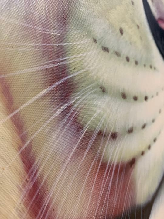 ライオン　動物　アニマル　油画　油絵