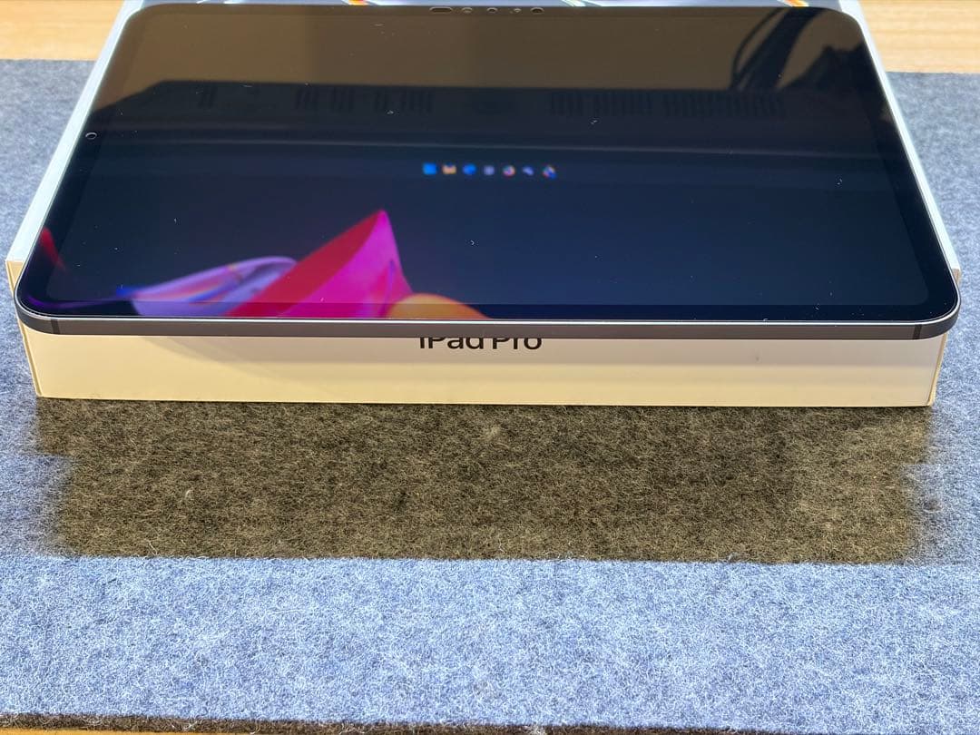 本日限定価格 保証残有 iPad Pro 11 M4 256GBセルラー