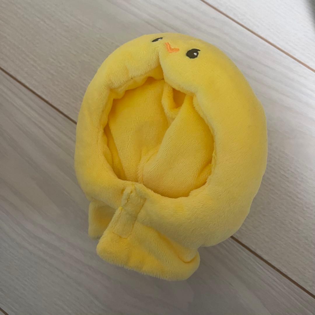 SHINee テミン TAEMIN ペンライト テマリ グッズ 4点セット