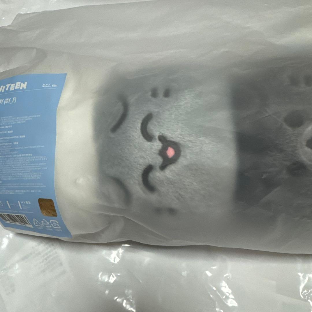 SEVENTEEN MINITEEN ジュン