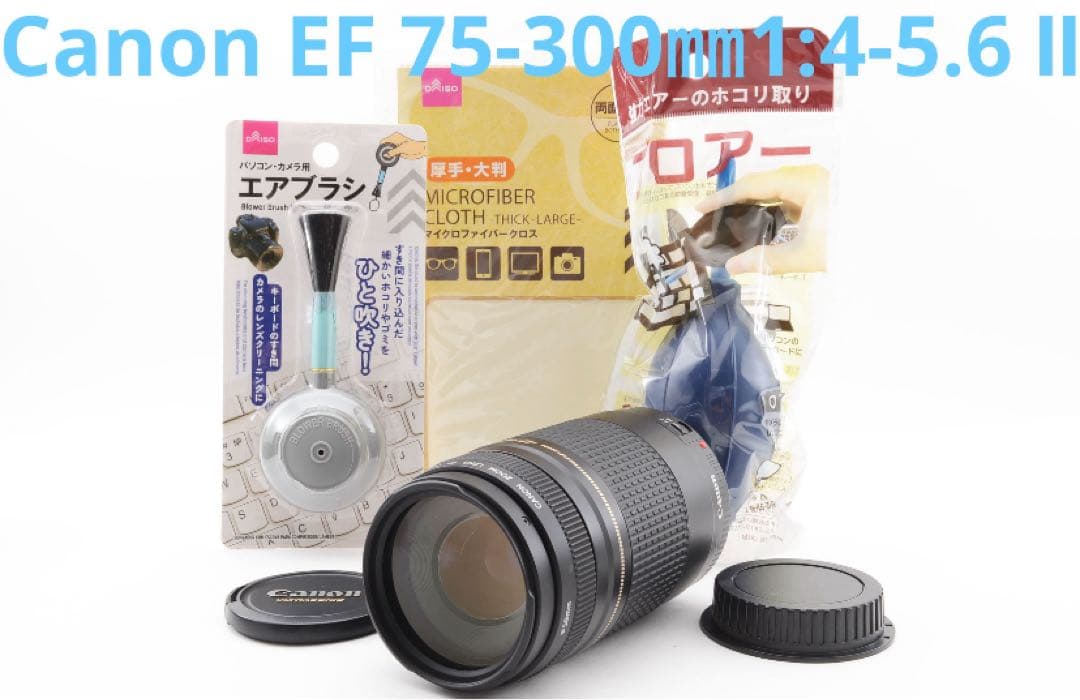 Canon EF 75-300㎜1:4-5.6 Ⅱ / ULTRASONIC