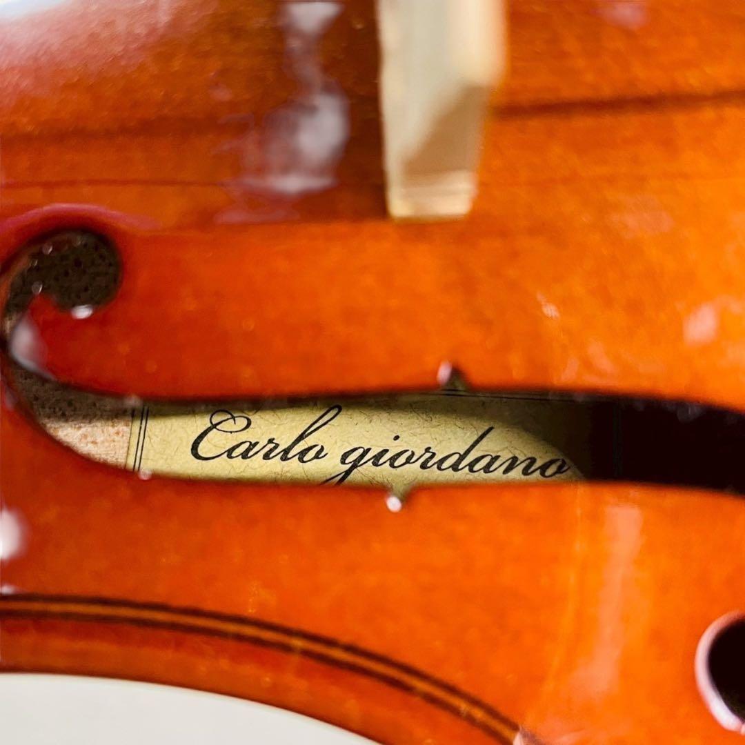 Carlogiordano vs-1 ヴァイオリン 1/4