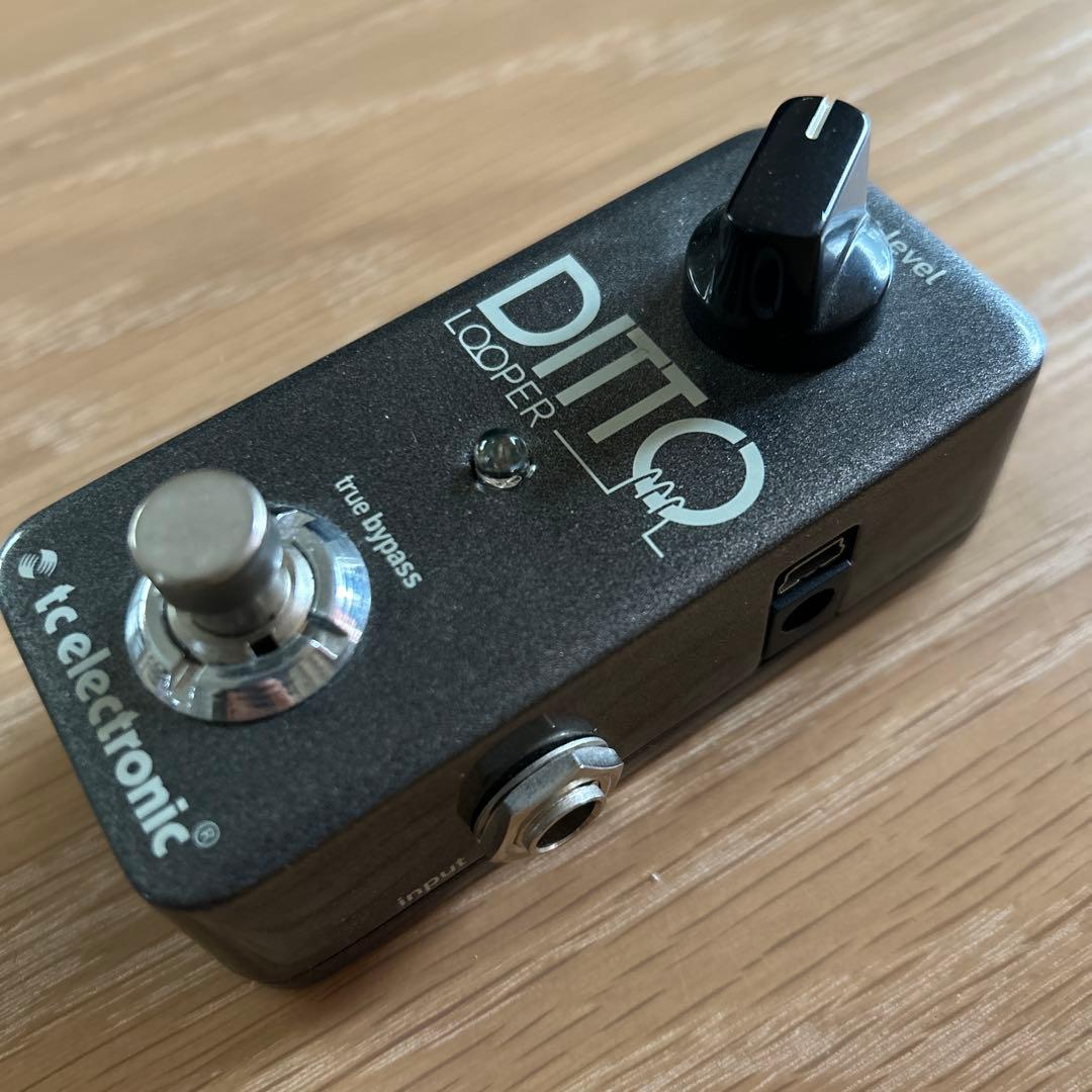 TC ELECTRONIC Ditto Looper ルーパー