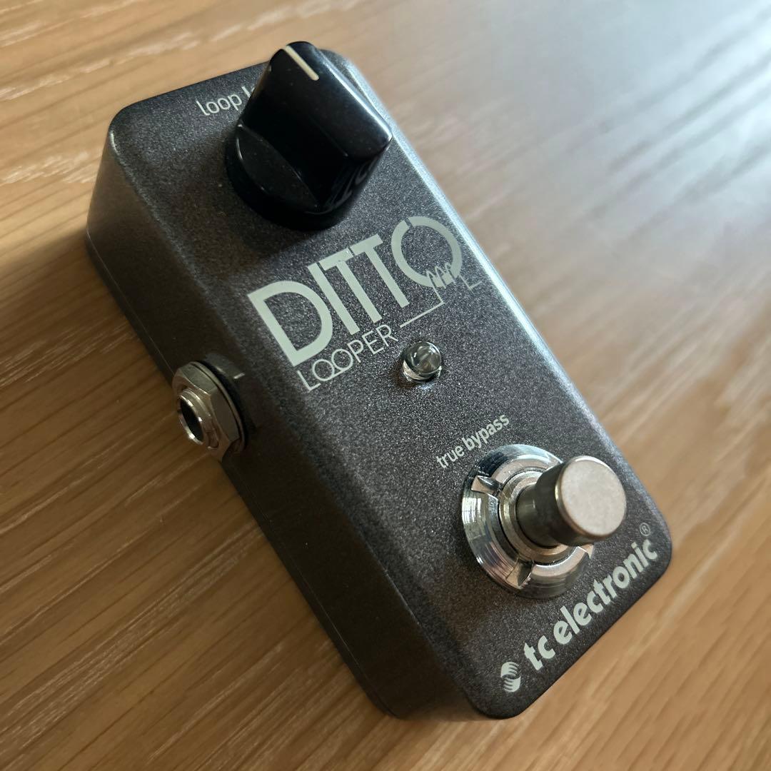 TC ELECTRONIC Ditto Looper ルーパー