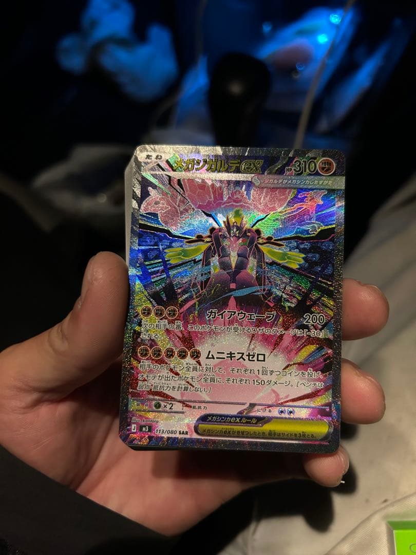 メガジガルデex 310