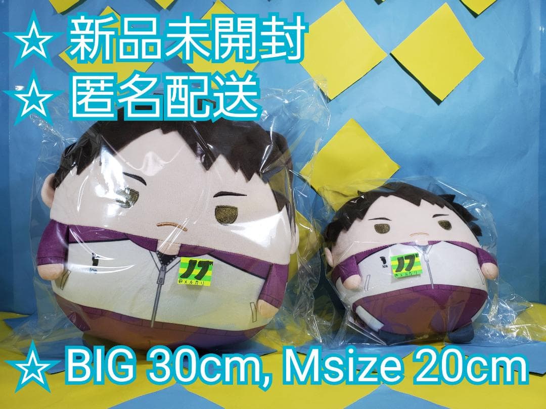 ハイキュー!! ふわコロりんBIG9 Msize9 牛島 若利 ジャージver.