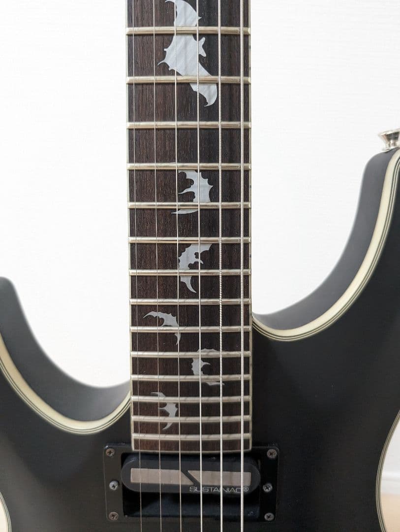外装美品　SCHECTER Damien Platinum-6　シェクター