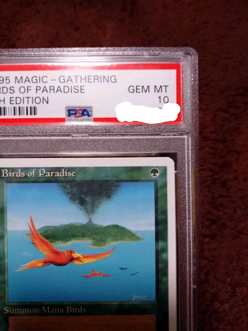 極楽鳥　第4版　PSA10