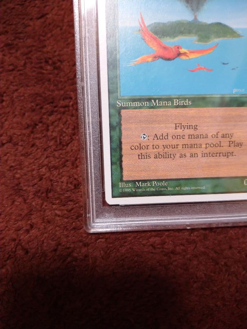 極楽鳥　第4版　PSA10