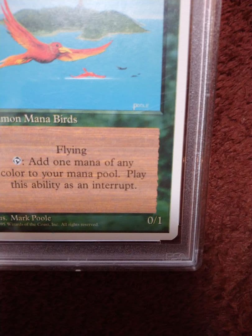 極楽鳥　第4版　PSA10