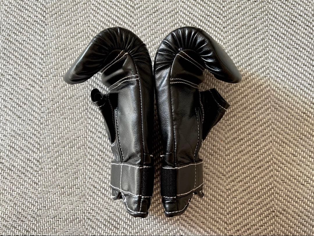 ウイニング パンチンググローブ