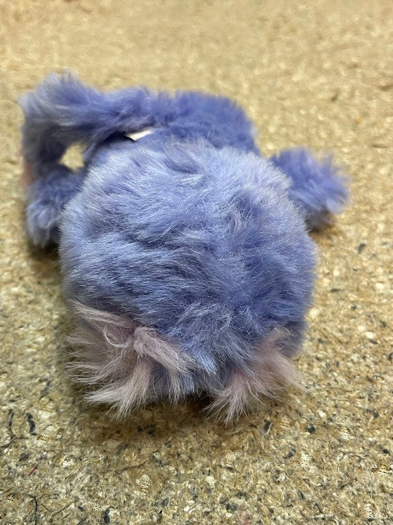 モンチッチ　レア　3体セット