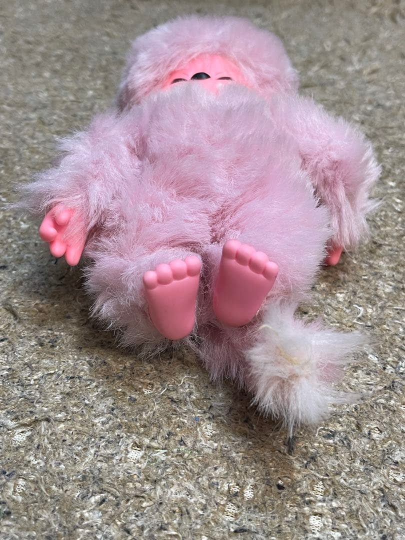 モンチッチ　レア　3体セット