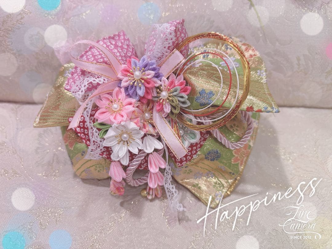 B409.pon2pan2☆オーダー☆犬お着物