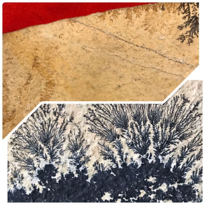 永久に枯れない樹木を封じ込めた石　樹形石(しのぶ石)  Dendrite