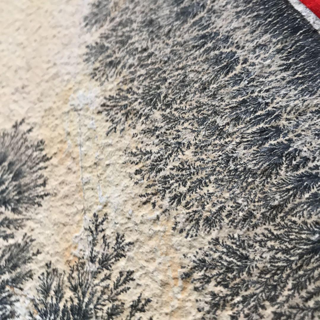 永久に枯れない樹木を封じ込めた石　樹形石(しのぶ石)  Dendrite