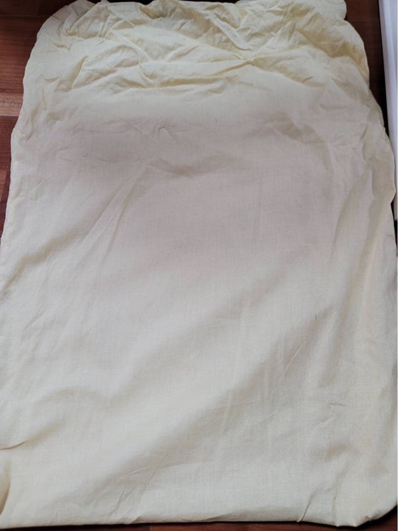 久里洋ニ　絵　アクリル　原画　本物　「花の実の中から女の子」　31.5×38cm