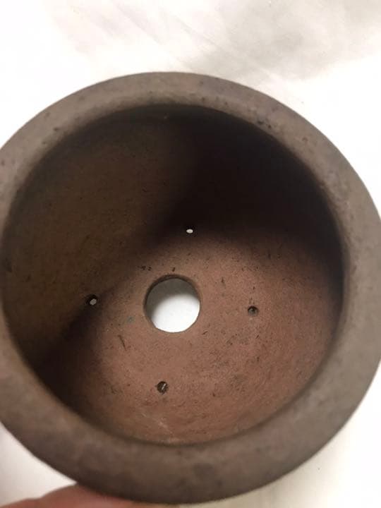 盆栽鉢　おまけ付き超時代のり手捻り焼き締め小品盆栽鉢名工泥珠正文1点物山野草