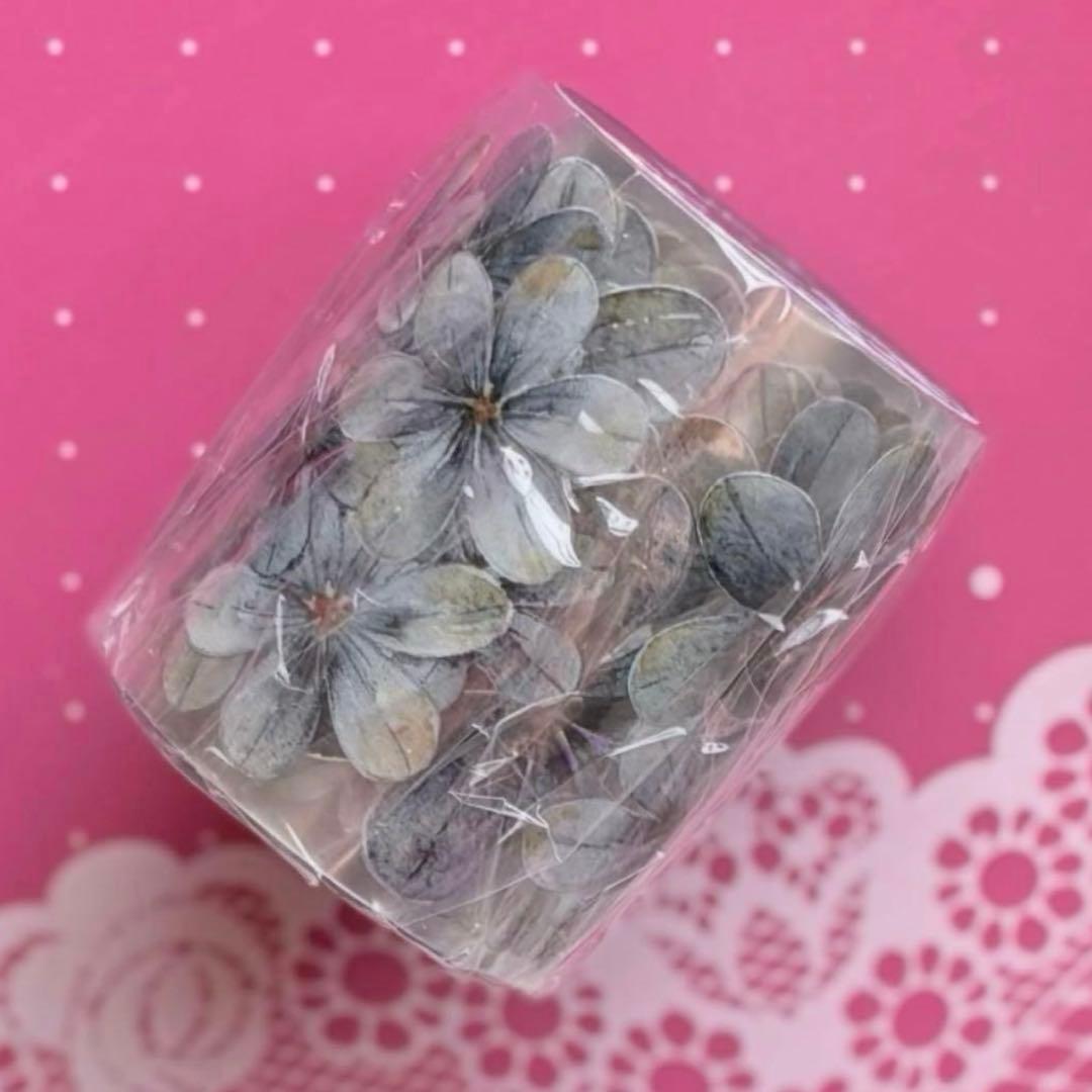 贝壳光 深海蓝 ダイカット加工 5cm×6m 海外マスキングテープ　海外マステ