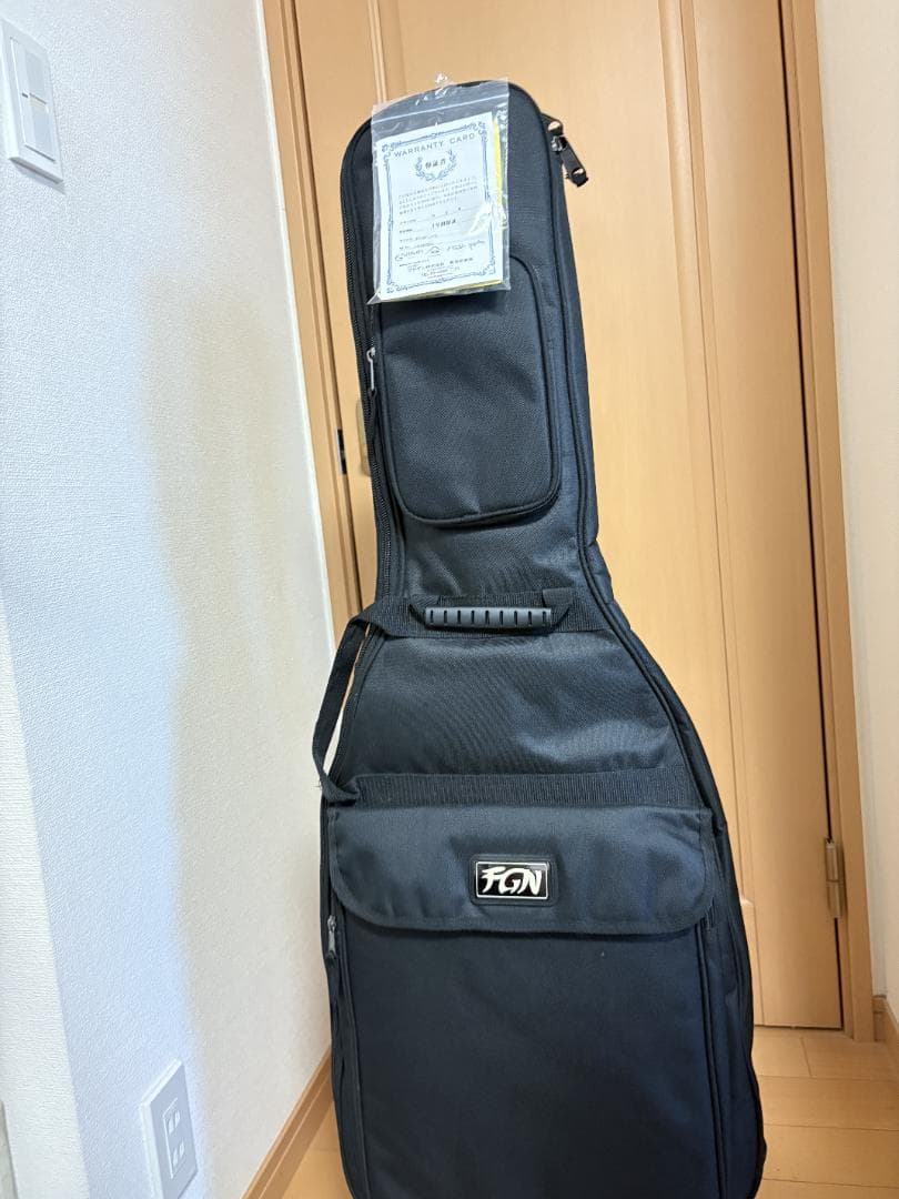 bridge9 FgN(フジゲン)JTL 6Rテレキャスタータイプ