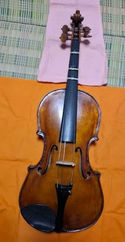 (エンリスク チェルティー 裏板のみ制作)のバイオリン