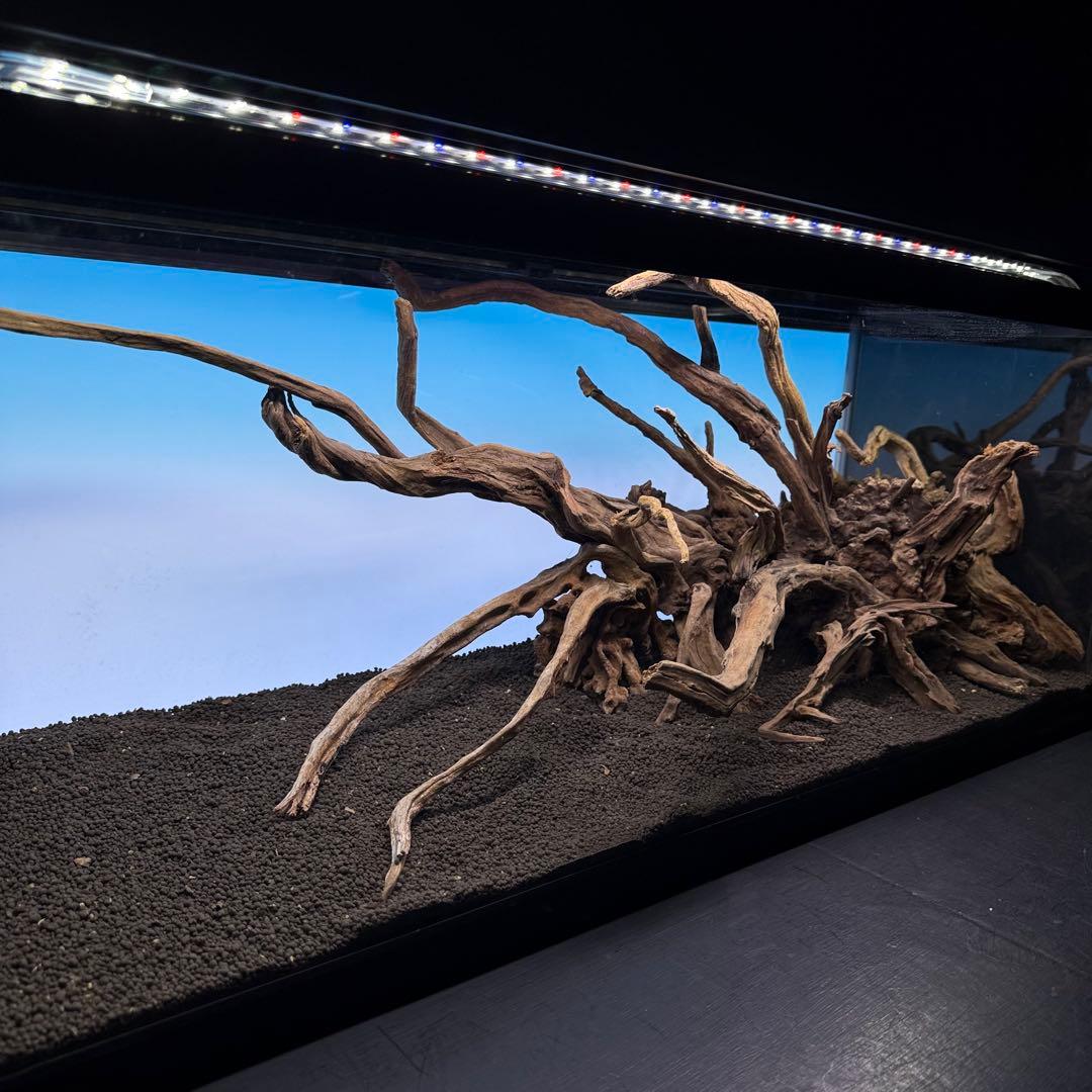 MSRW-7080 天然流木レイアウトセット　スリムウッド　アクアリウム