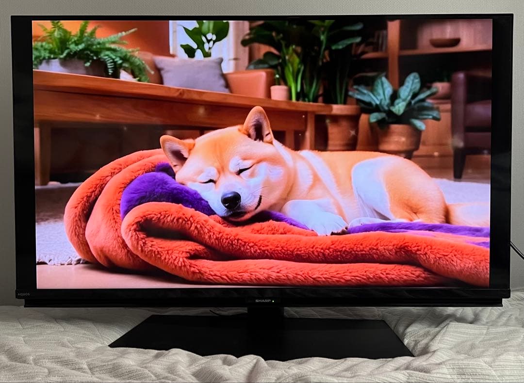 SHARPAQUOS40V型4K液晶テレビ 4T-C40CL1 Android