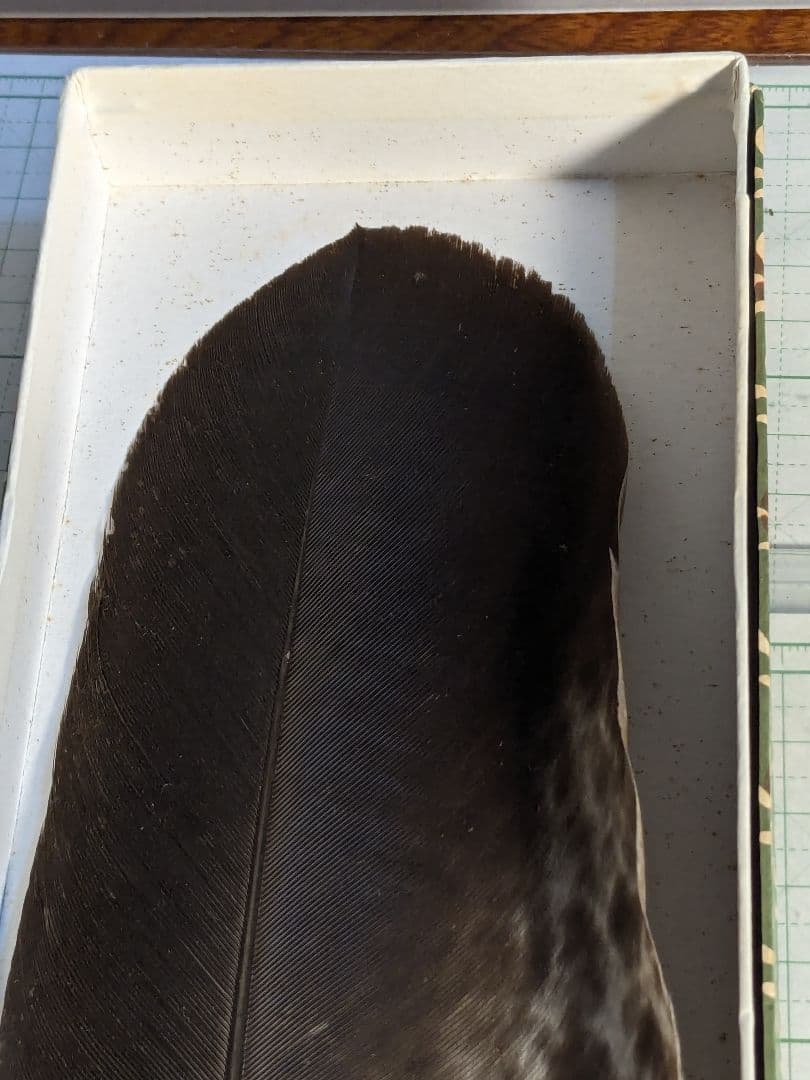 御羽掃　お茶道具　炉用　茶道 工芸品