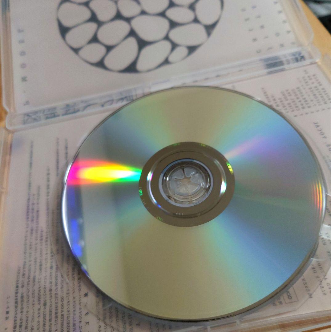 P-MODEL／核P-MODEL DVD 5作品 三界の人体地図 回=回 他