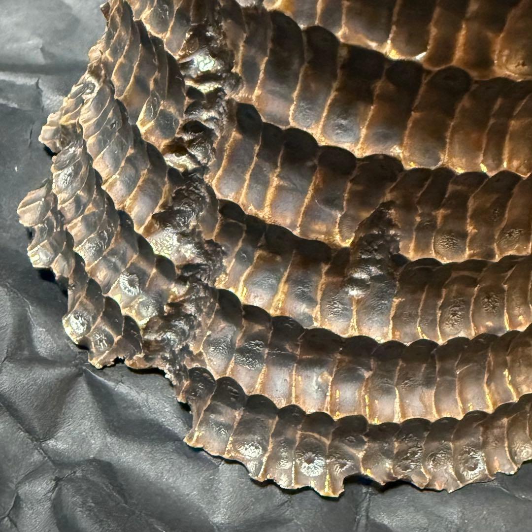 raw life factory RLF invisible ink 木輪