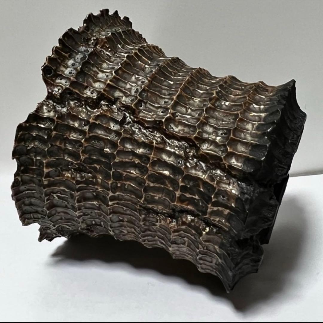 raw life factory RLF invisible ink 木輪