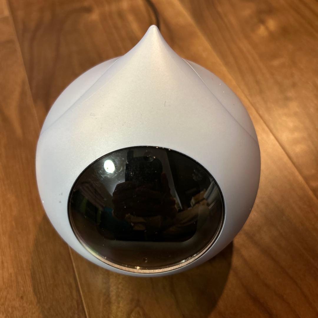 Romi ロミィ会話AIロボット　希少ブルー